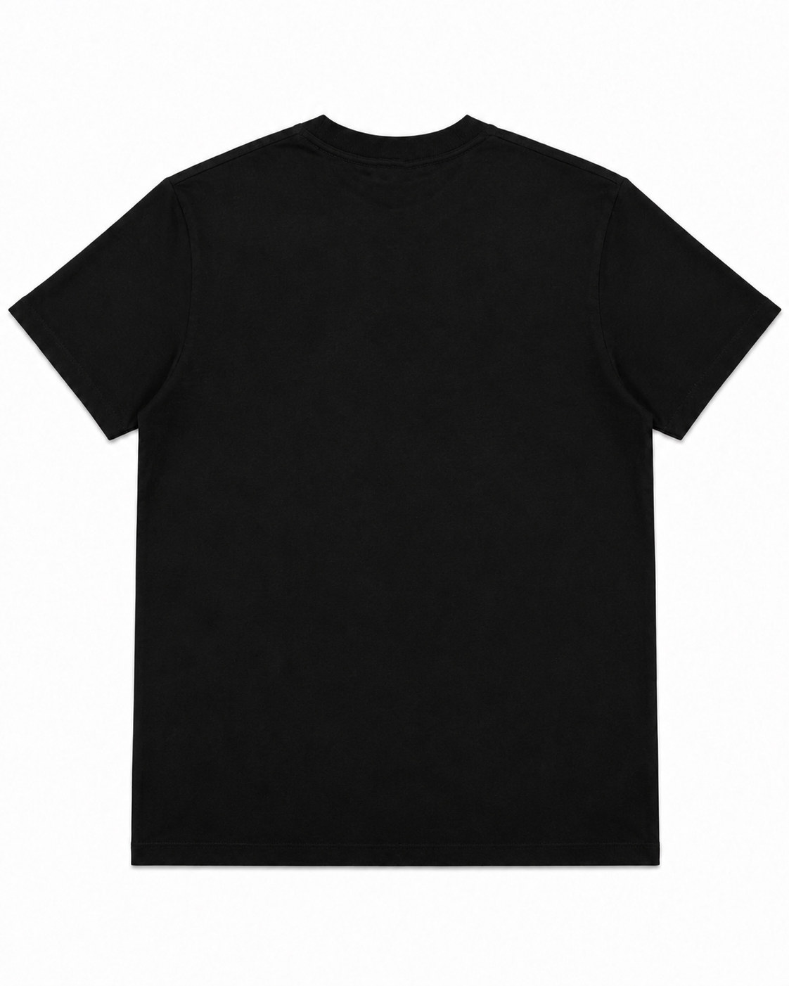 CAMISETA LION