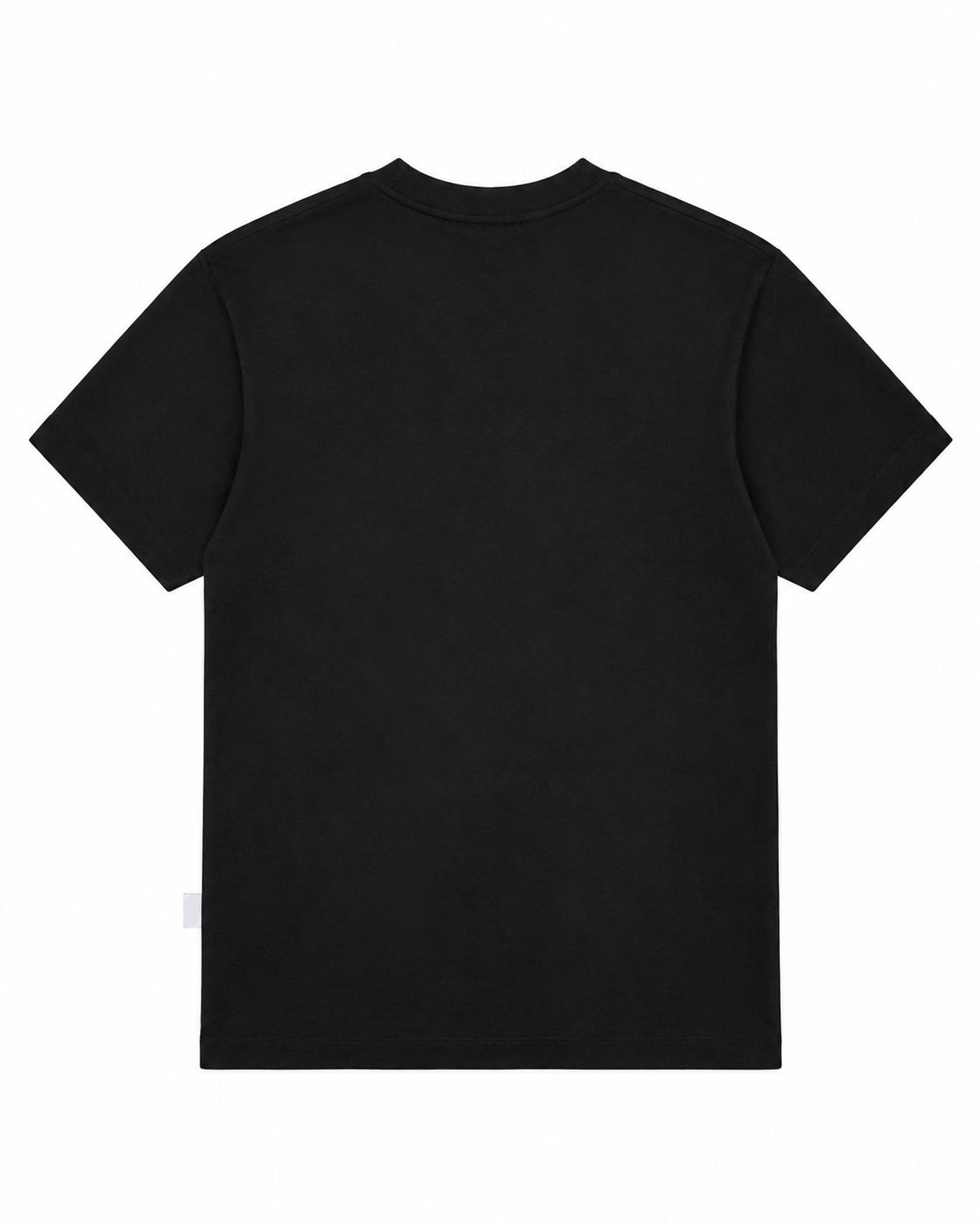 CAMISETA STUDIO